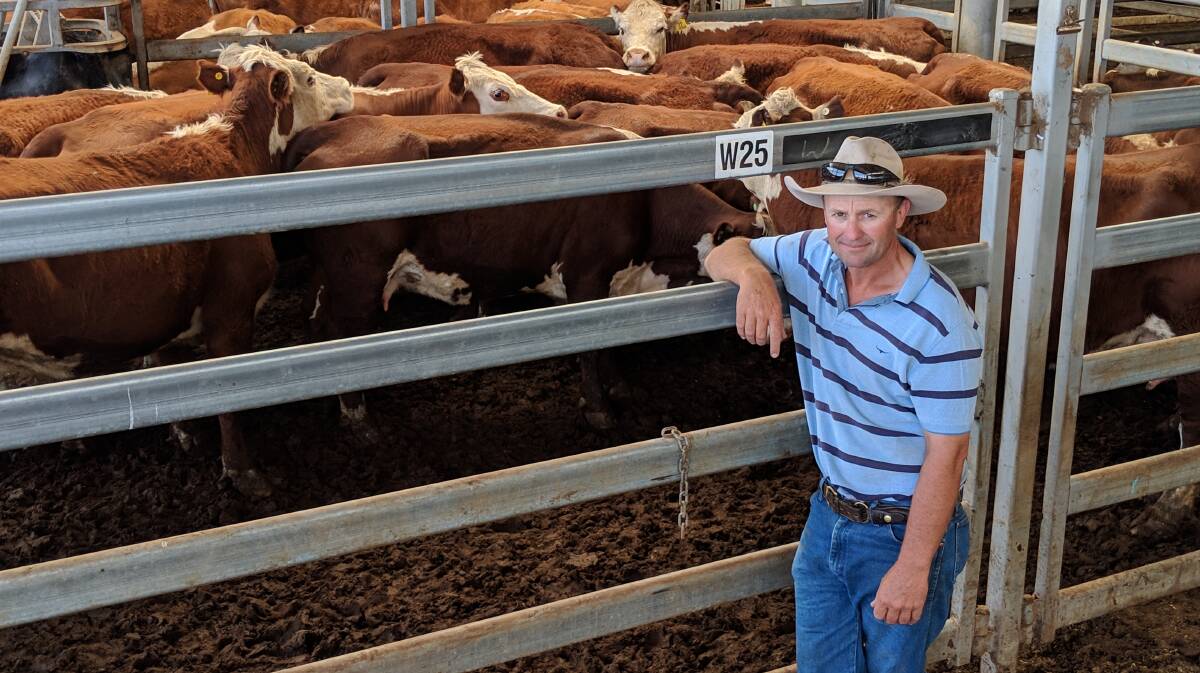 Simon Booth, Humewood at Booligal, NSW, at the Wodonga store cattle sale.