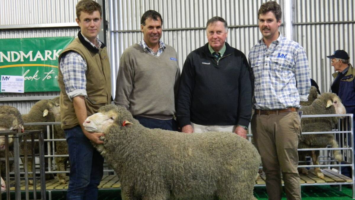 TOP RAM: Angus Halliday, Peter and Daniel Rogers, Mount Yulong Poll Merino stud, Telangatuk East, with Stephen Chalmers, Landmark (second from right), and the top-priced ram.