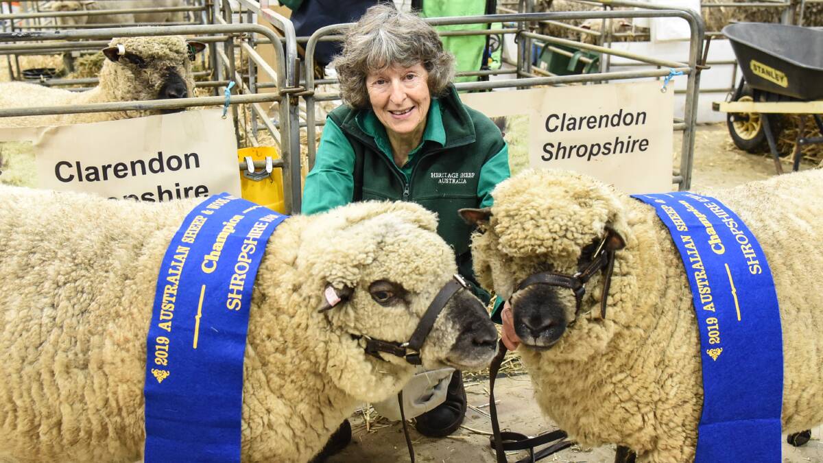 Marilyn Mangione, Clarendon stud, Strathbogie, with her champion Shropshire ram and ewe.
