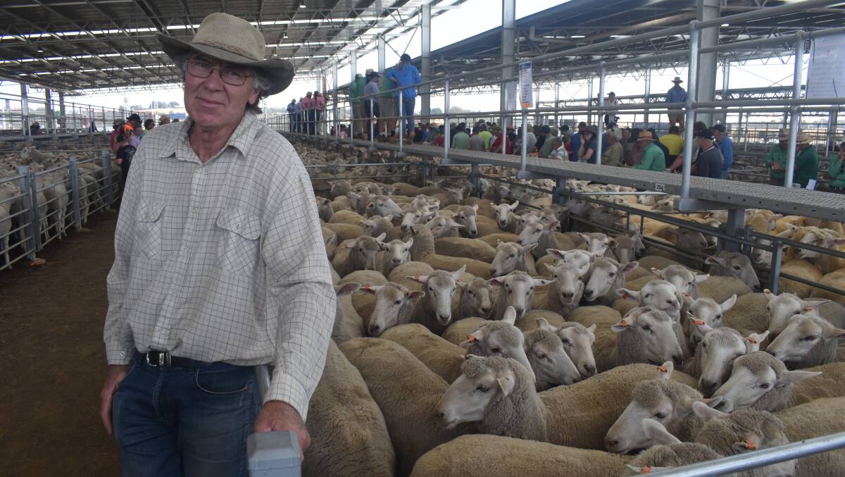 RARE SALE: Selling for the first time at Ballarat in a while was Mark McKew, Mount Cole Creek, with 70 ewes at $285.