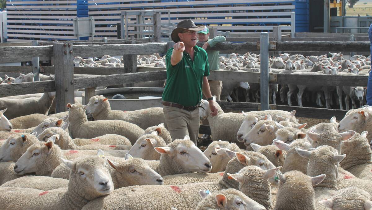 Landmark Casterton livestock manager Greg Bright said the new record highlighted the need for the Casterton saleyards to keep being used.