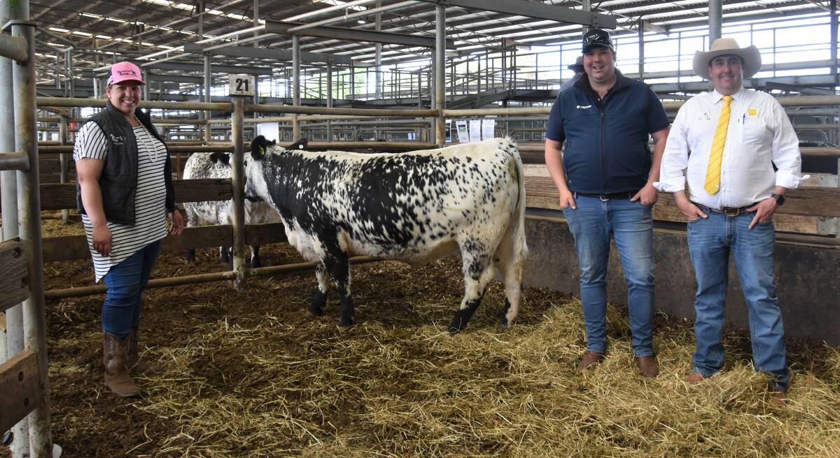 Vendors of the top female, Krystal and Mick Lines, Redwood Range Speckle Parks, Auburn, SA, with the $25,000 heifer, and Ray White auctioneer James Brown, Albury, NSW.