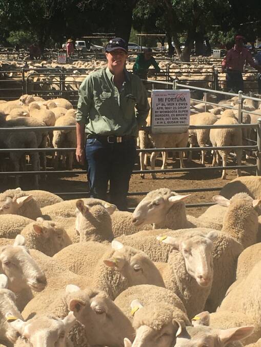 SELLING: Jocelyn Harriage, MI Fortuna, Deniliquin, NSW, sold first-cross ewes for $295 at Deniliquin last week.