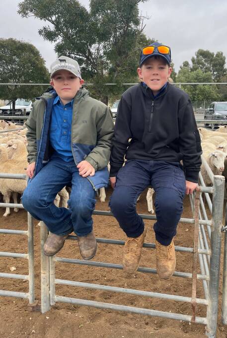 Logan Old, Nichols Point, and Nate Singleton, Ouyen, were helping out at the Ouyen sheep market during their school holidays. Picture supplied