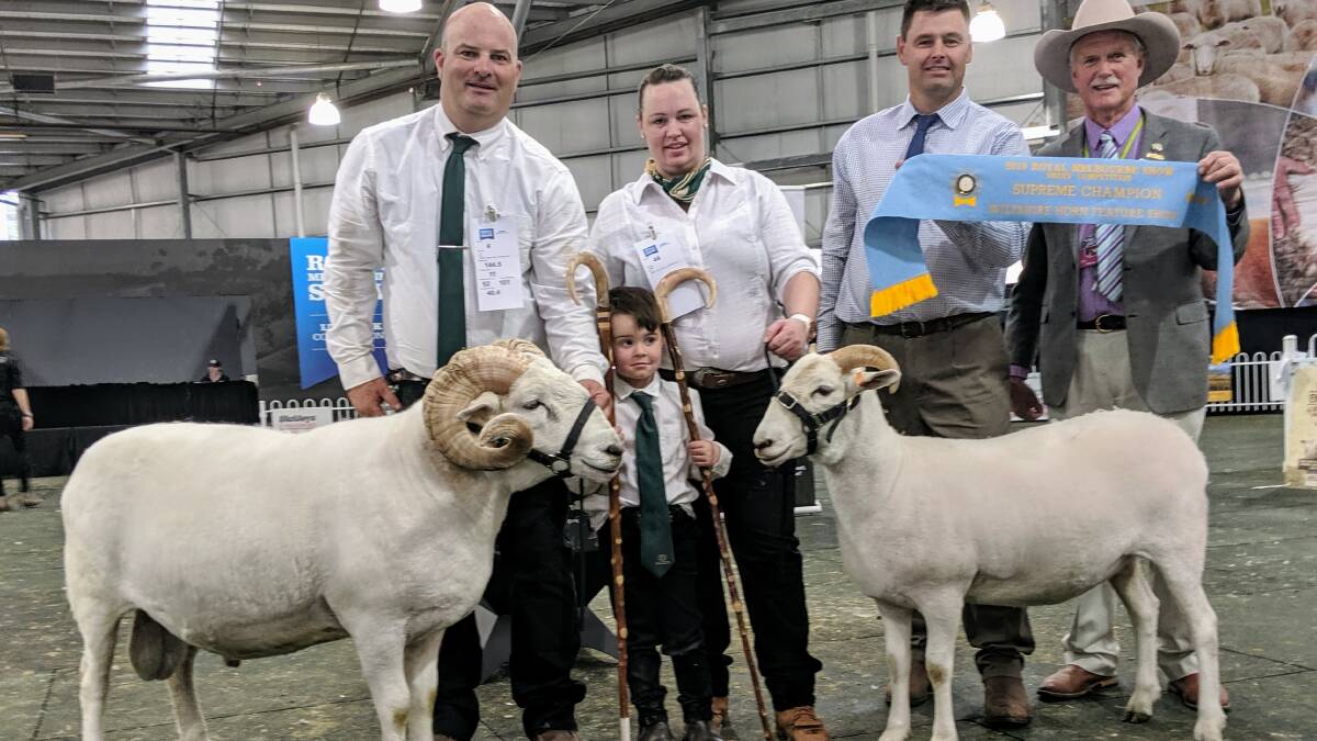 Jason O'Loghlin and Kristy Tanner with son Justin and their two champion Wiltshire Horn exhibits, sashed by judge Nick Cole and Gavin Wall.