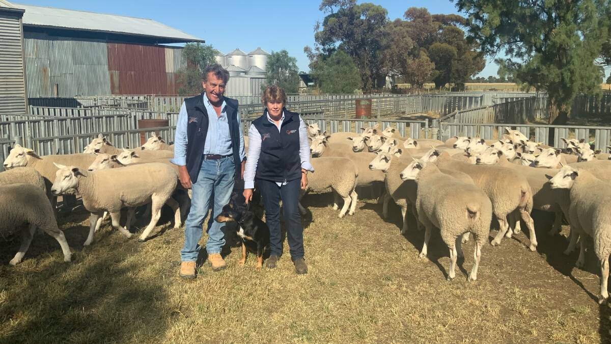 Pete and Liz Russell have enjoyed the versatility of the Texel breed over 30 years of breeding, but have decided to disperse their stud.