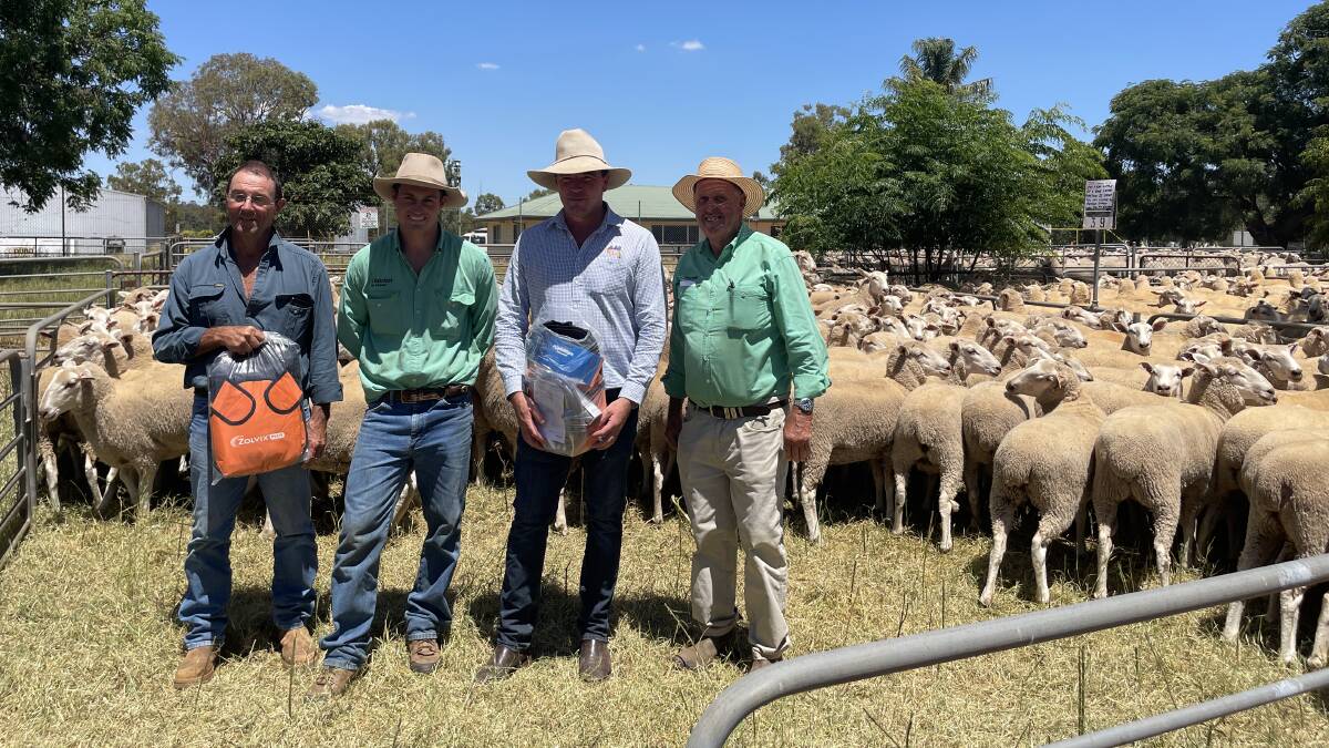 Paul Little, Grong Grong, NSW, who sold ewe lambs at Narrandera, NSW, for $274, with Jaiden Burke, Nutrien, James Tierney, RLA, and Mick Martin, Nutrien.