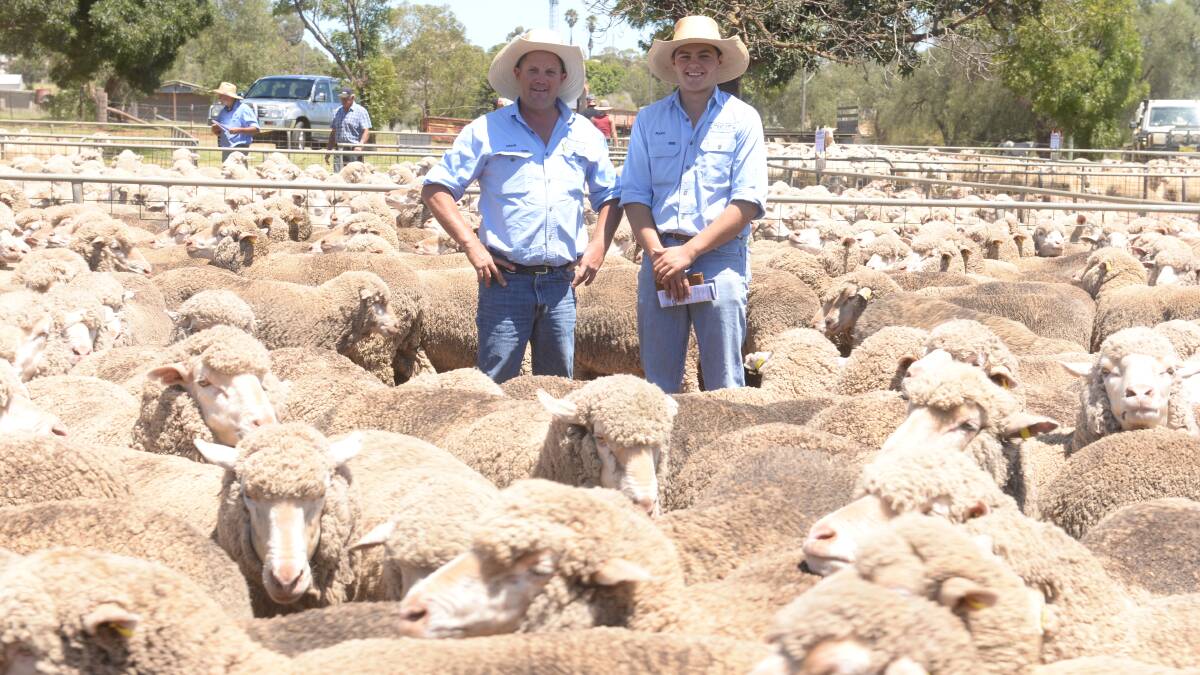 BUSY: Mark Jolliffe and Ryan Browne, Kevin Miller Whitty Lennon and Company, Young, NSW, were busy buying at Dunedoo, NSW, recently.