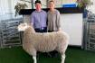 'Mind blowing' first auction for Glenlee Park Border Leicesters