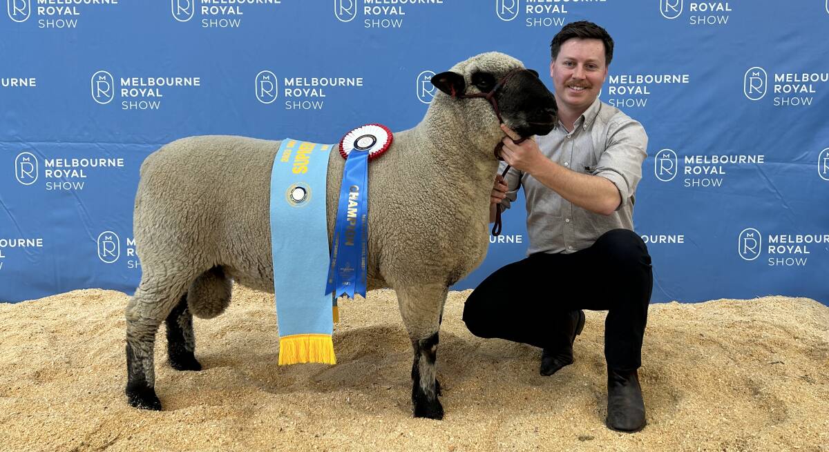 Mulley Park Hampshire Down stud principal Ryan Bechaz, Mornington, with his supreme exhibit. Picture by Joely Mitchell