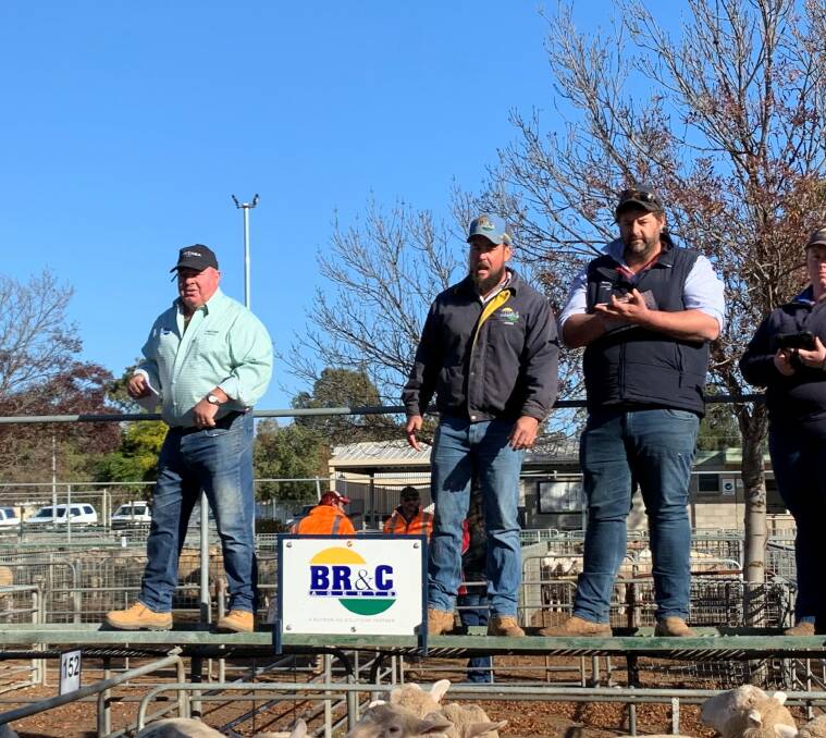 SALE-O: BR&C and Nutrien Ag Solutions agents call for bids at Ouyen's fortnightly sheep sale last week.