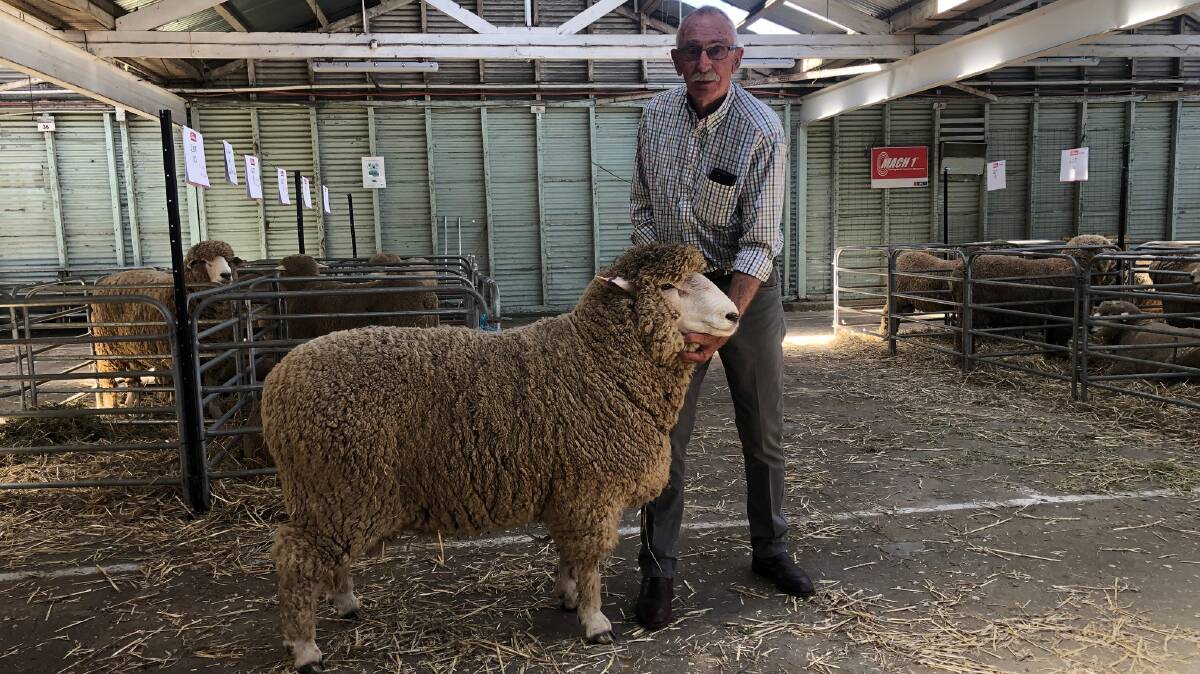 TOP RAM: The top-priced $1000 ram of the sale with its vendor Peter Baker, Loddon Park Corriedale stud, Baringhup.