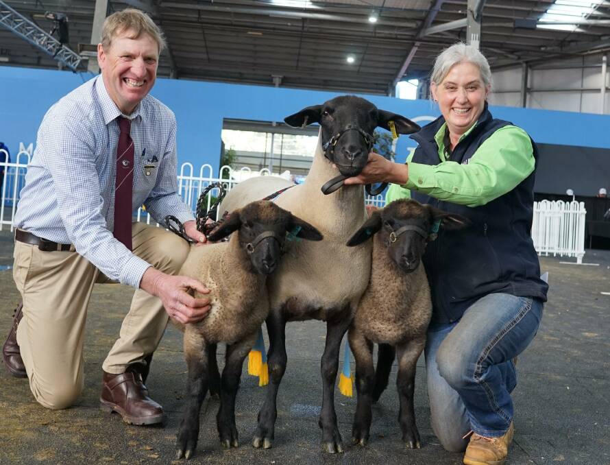 Suffolk judge Waterton South Suffolk stud principal Chris Hampton, New Zealand, and Blue Rock Suffolk stud principal Deva Weitman, Romsey, with the supreme Suffolk of the show and its lambs at foot. Picture by Rachel Simmonds