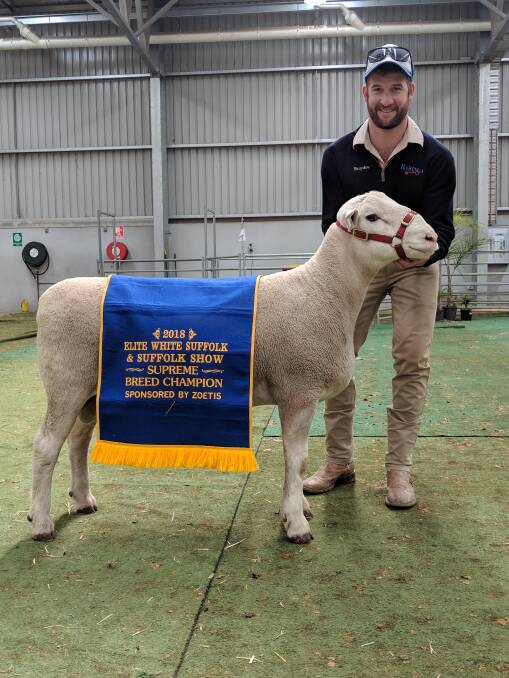 Brayden Gilmore, Baringa stud, Oberon, NSW, with the supreme exhibit of the White Suffolk and Suffolk Elite Show and Sale, a White Suffolk ram. 