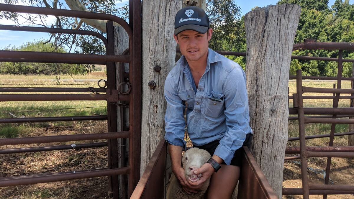 James Scott, Valley Vista Poll Dorset stud, Coolac, NSW, with a ewe lamb that would be considered a hogget at sale before the lamb definition is changed.