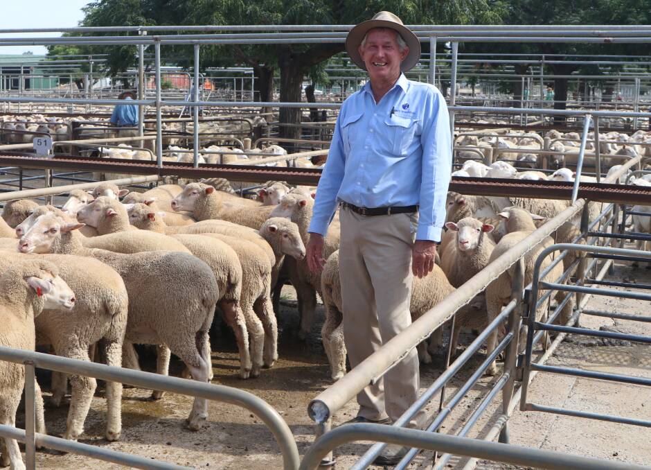 Christie & Hood agent Paul Alchin, Dubbo, NSW, with second-cross lambs from T and C Rothery, Geurie, NSW, that made $210 at West Wyalong, NSW. Picture by Kate Louden