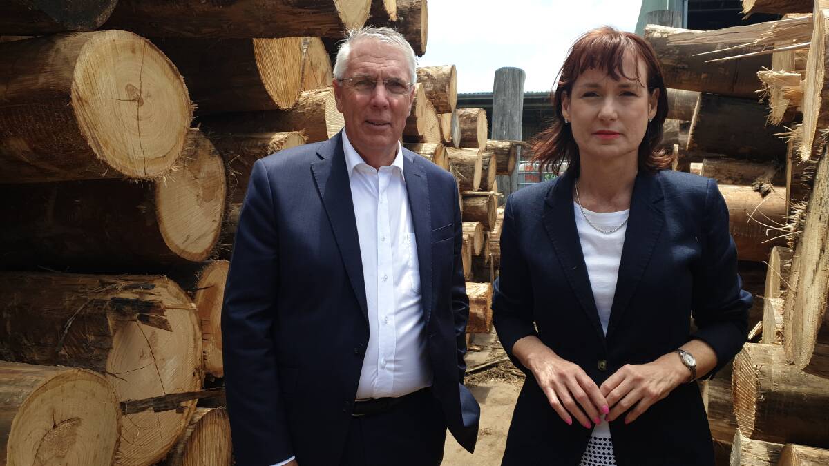 Shadow Agriculture Minister Peter Walsh and Nationals MP for Eastern Victoria Melina Bath visited the Dormit factory on the weekend, where 40 jobs are on the line if timber can not be secured.