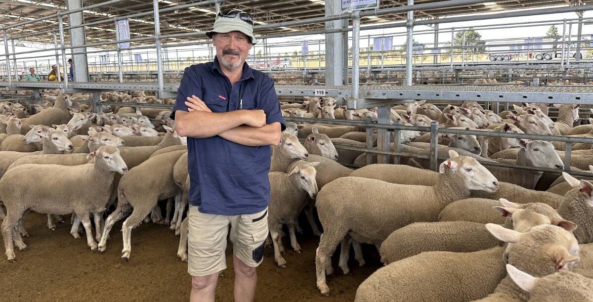 Murray Cook, Tourello, yarded 253 sheep at the Ballarat first-cross ewe sale, which included 120 April 2022-drop ewes that made $210. Picture by Philippe Perez