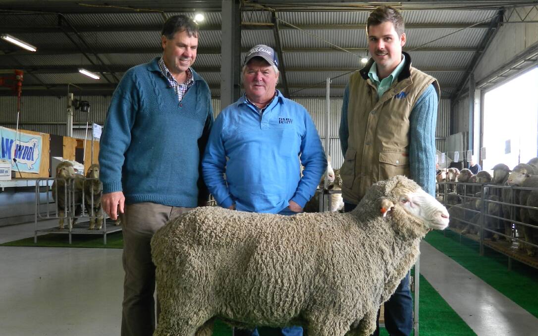TOPPER: Buyer of the top-priced ram at Mount Yulong Peter Remfry, flanked by stud principals Peter and Daniel Rogers, Telangatuk East.