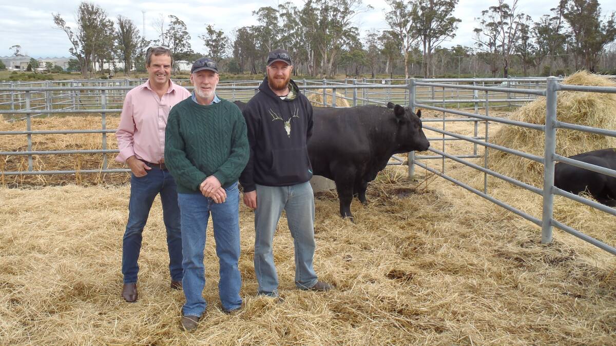 Elders Yea branch manager Bruce Elliott, and buyers John and Leigh Drysdale, Yarck, with Lot 13, the top-priced bull.