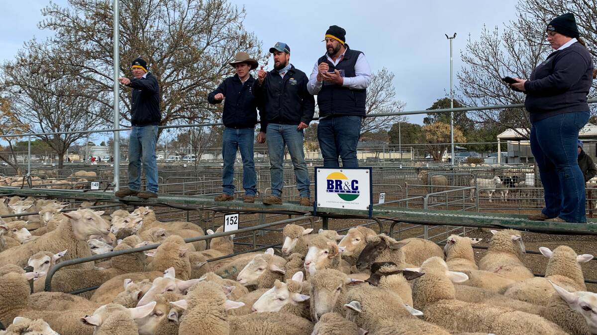 FOR SALE: BR&C agents selling sheep at the fortnightly Ouyen sheep market on Thursday last week.