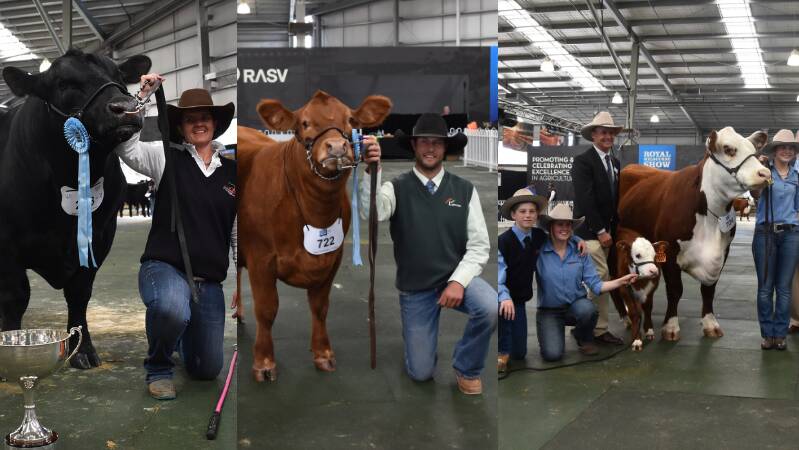 Full gallery of cattle ribbon winners from Royal Show