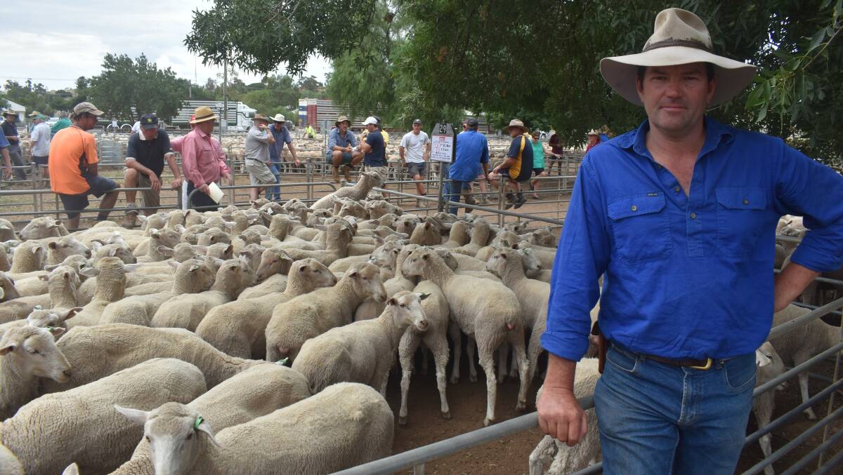 PIGEON PONDS: Craig Grant, Tandara, Pigeon Ponds, paid $232 for this line of 290 first-cross ewes, July/August 2019-drop, at Wycheproof.
