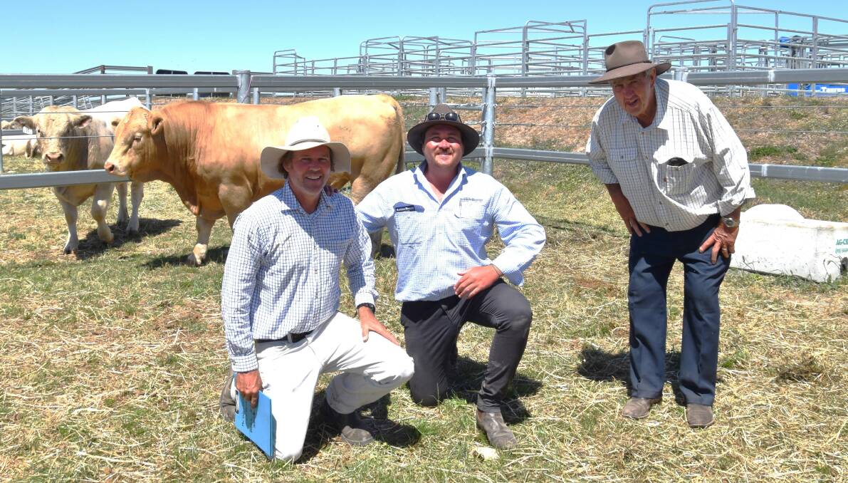 Mount William Charolais stud principal Rob Abbott, Charles Stewart Howard director Shelby Howard and Terry Dove, Charles Stewart Dove, with the equal top-priced bull at $11,000 that was bought by Rick and Melody Guye, Kotri Beef, Birregurra. Picture by Alastair Dowie