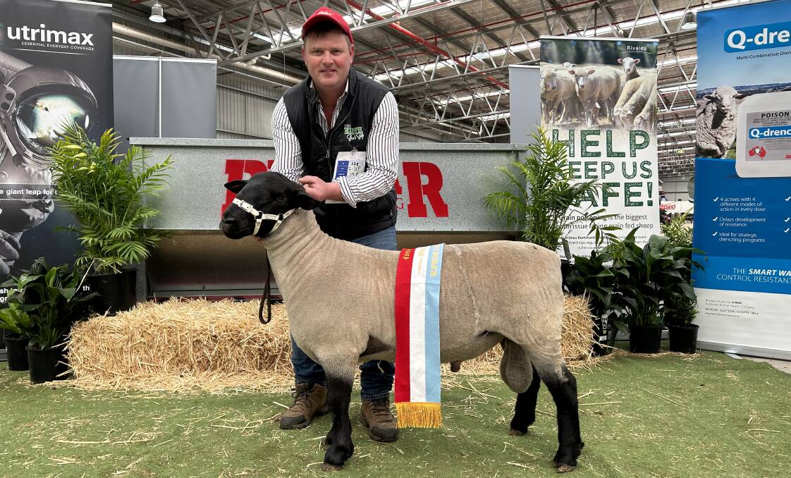Sayla Park Suffolk stud principal Jon Sutherland with the supreme champion Suffolk of the show. Picture by Joely Mitchell