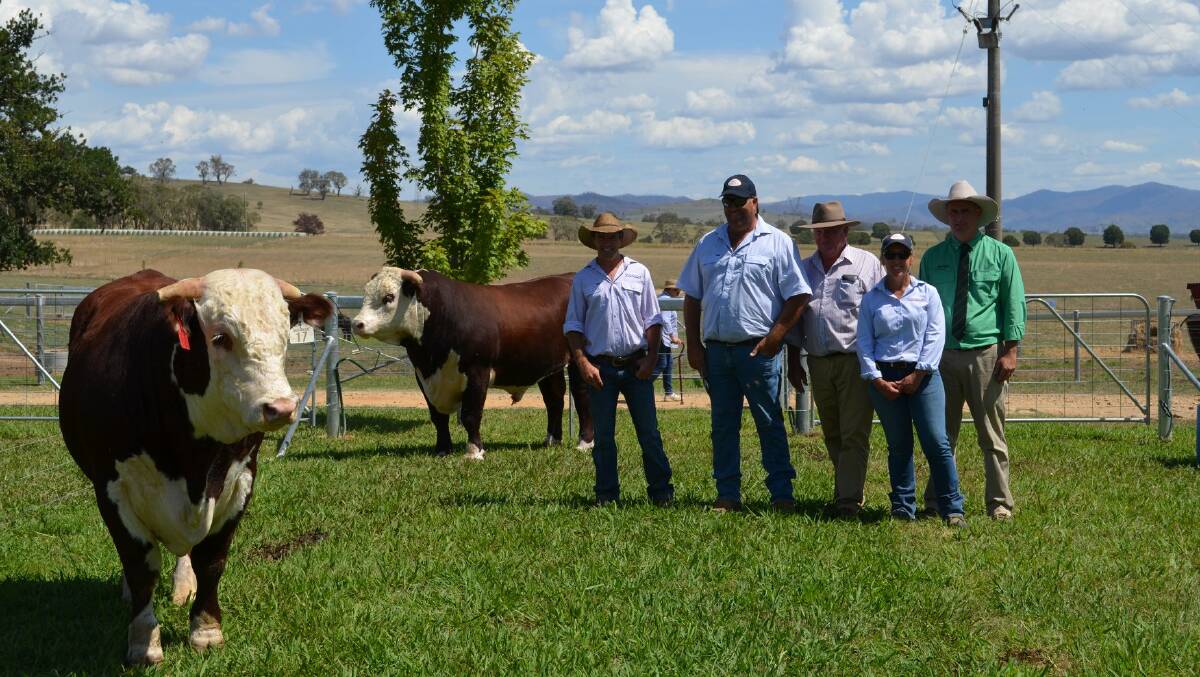Andrew Klippel, Sugarloaf Creek, top-priced buyers Scott and Robert Reid, Chudleigh, Howlong, NSW, Serena Klippel, Sugarloaf Creek, and Peter Godbolt, Nutrien, with the top-priced bull on the left at $14,000 and another bull bought by the Reids, Lot 1 at $11,000.