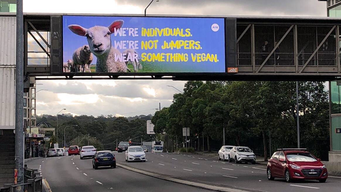 WHACK: PETA has launched a billboard campaign attacking the wool industry.