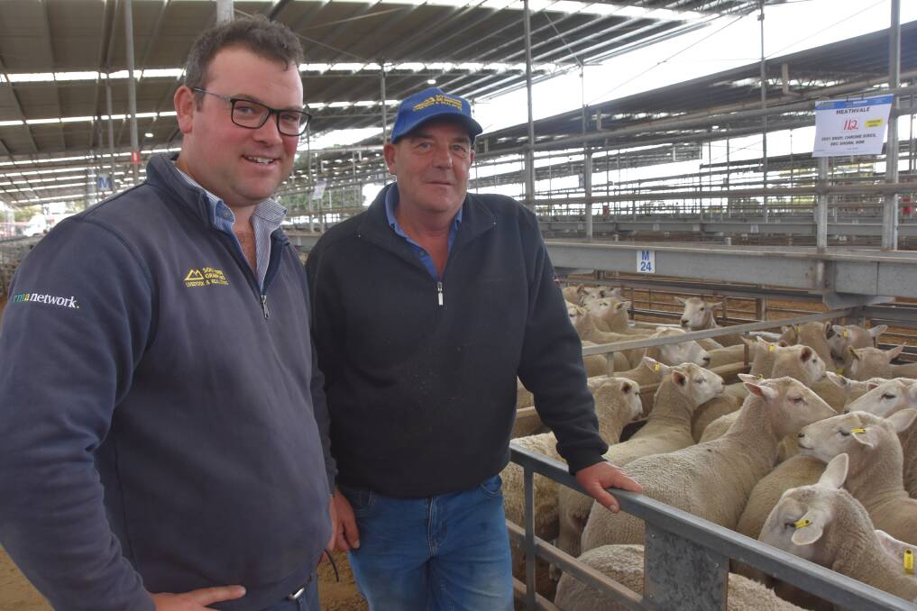 Blair O'Toole and David Gow, Southern Grampians Livestock, bought this pen of 112 1.5-year-old Chrome sires for $184 at Hamilton. Picture by Philippe Perez