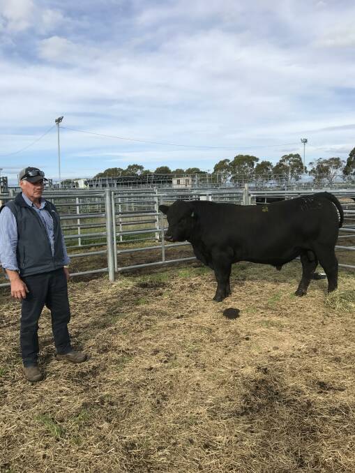 Bill Aldridge, Roberts, bought Tamaroo's top-priced bull on behalf of first-time buyers Ross, Shane and Corey Hine, ‘WR&E Hine’, Marrawah, Tas.