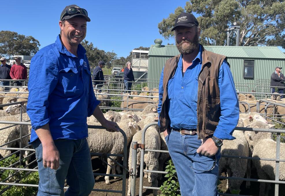Shane Turner, Mount Barker, SA, and Kym Lowe, Brukunga, SA, were buying and selling sheep at Mount Pleasant, SA, last week. Picture by Elizabeth Anderson