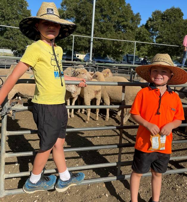 Zac and Max Allford, Red Cliffs, were happy to get to the fortnightly Ouyen sheep sale, enjoying a pupil-free day from school. Picture supplied