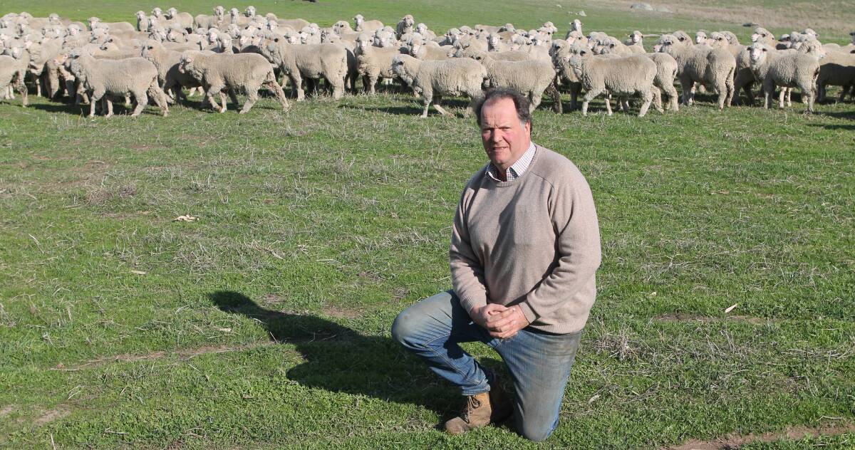 WOOL MARKET: The wool market has fluctuated in the last few weeks, causing some woolgrowers to pass in wool that would have sold at previous highs. Pictured is Redesdale woolgrower Tom James. Photo by Andrew Miller.