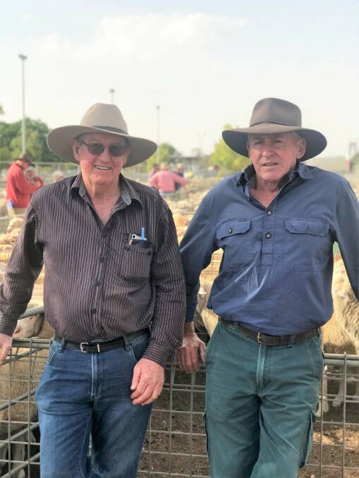 DORPERS FOR SALE: Bernie Smith and Barry Parfrey, both of Pomonal, were selling Dorpers at the first sheep sale for the year at Ouyen.
