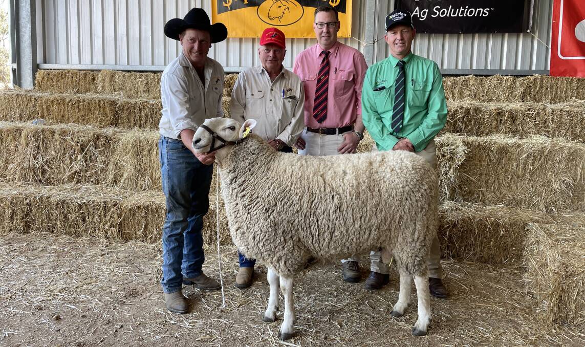 Jackson Farming's Ross and David Jackson, Moyston, with Ross Milne, Elders, and David Preston, Nutrien, and the top ram of the sale.