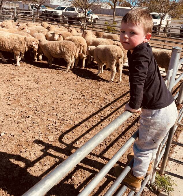 Archie Keely was carefully checking what was in the sale at Ouyen's sheep and lamb market earlier this month. Picture by Ouyen Livestock Exchange.