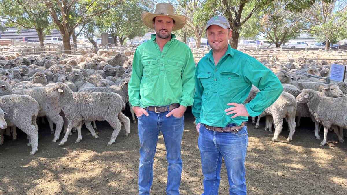 BROTHERS: Tom and Marcus Hooke, East Loddon Merino stud, Wanganella, NSW, sold 230 Merino ewes for $230 at Deniliquin, NSW, last week.