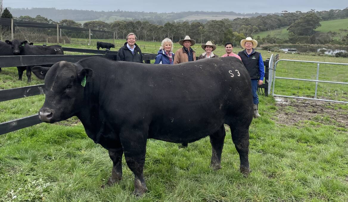 Moorunga Angus owners John and Sue Matthies, Dromana, with buyers Michael and Sue Turra, Buchan, Elders agent Ryan Bajada, and Moorunga manager Glenn Trout, with the top-priced bull, Lot 2.