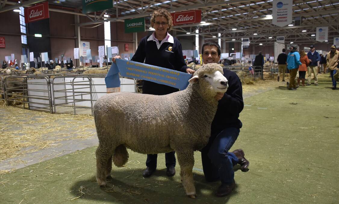 Bron and Leigh Ellis, Sweetfield Corriedales stud, Mount Moriac, with their supreme champion Corriedale ram.