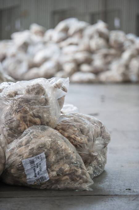 Wool top demand is overpowering lack of supply