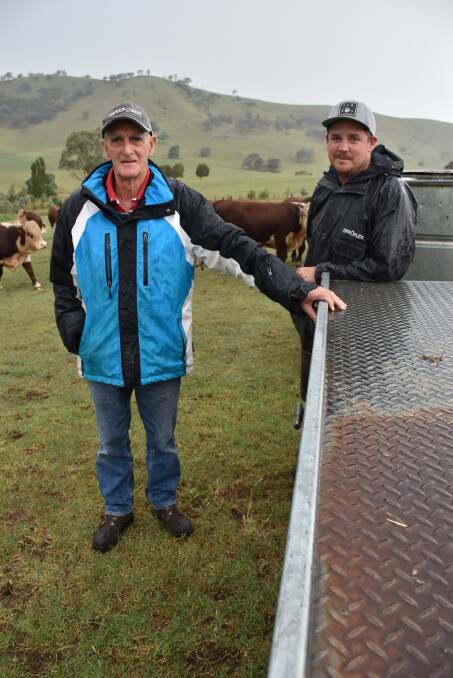 NUTRITION: Newcomen Hereford stud principal Barry Newcomen, Ensay, pictured with stud master Mat Marshall, spent big on nutrition last year to help with cow fertility.