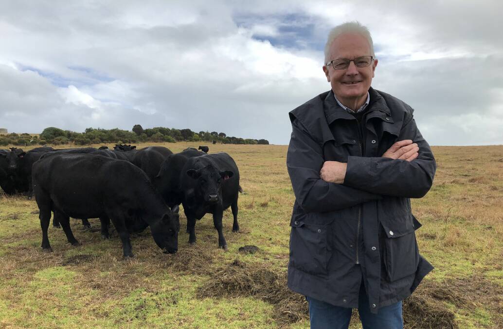 STRONG DEMAND: Phillip Island Angus breeder Fergus Cameron, Wild Dog, sells about 140 weaners in the annual calf sales each year, which are keenly sought by backgrounders and lotfeeders. Photos: Joely Mitchell.