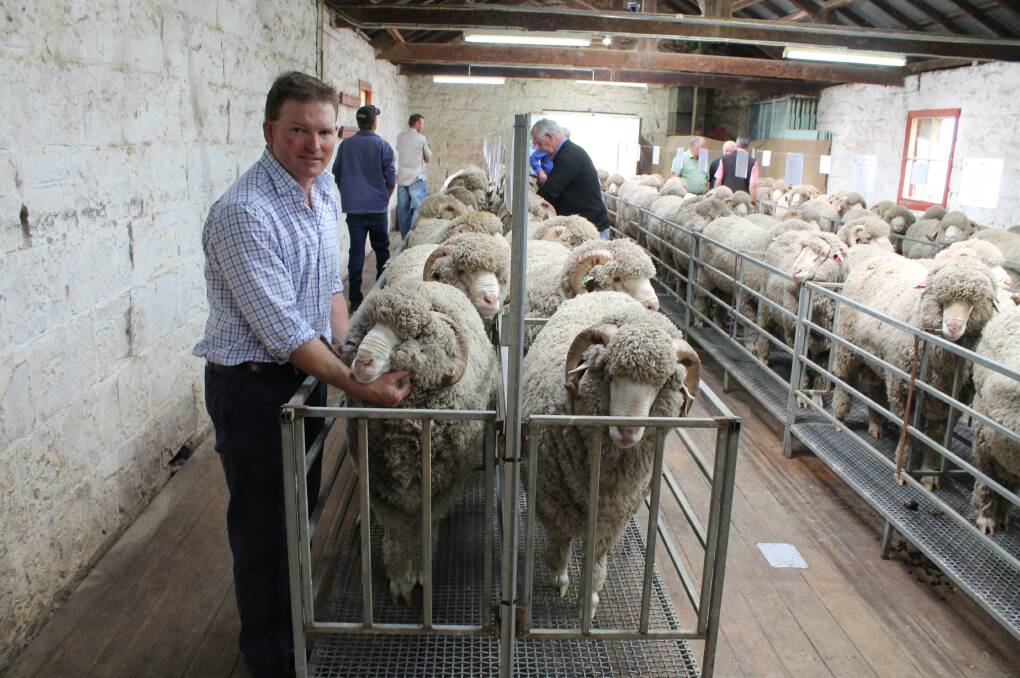 FIELD DAYS: Southern Victorian Merino Breeders Association president Pat Millear looks forward to welcoming visitors to the group's annual field day on Friday October 19.