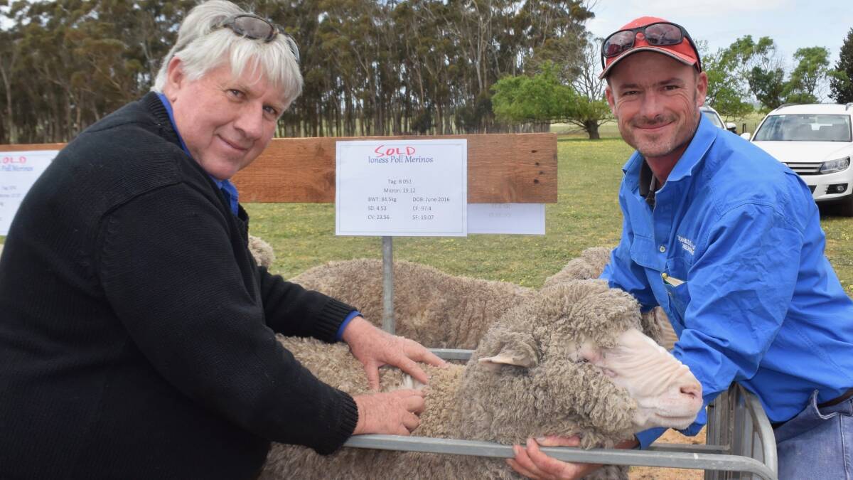 IONESS RAMS: Geoff Armstrong, Branxholme, inspects sale rams with Ioness stud principal Rob Coutts. Mr Armstrong purchased two rams at last year’s field day. Ioness stud sires and a quality selection of sale rams will be on display this Friday, October 19.