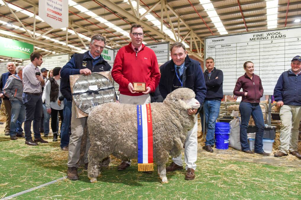 CHAMPION: Argentinian judge Michael Gough and Elders stud stock Ross Milne present George McKenzie, Montrose Hill stud, and his ultrafine ewe Rosie, with the supreme Merino sheep title at this year's Australian Sheep and Wool Show in Bendigo