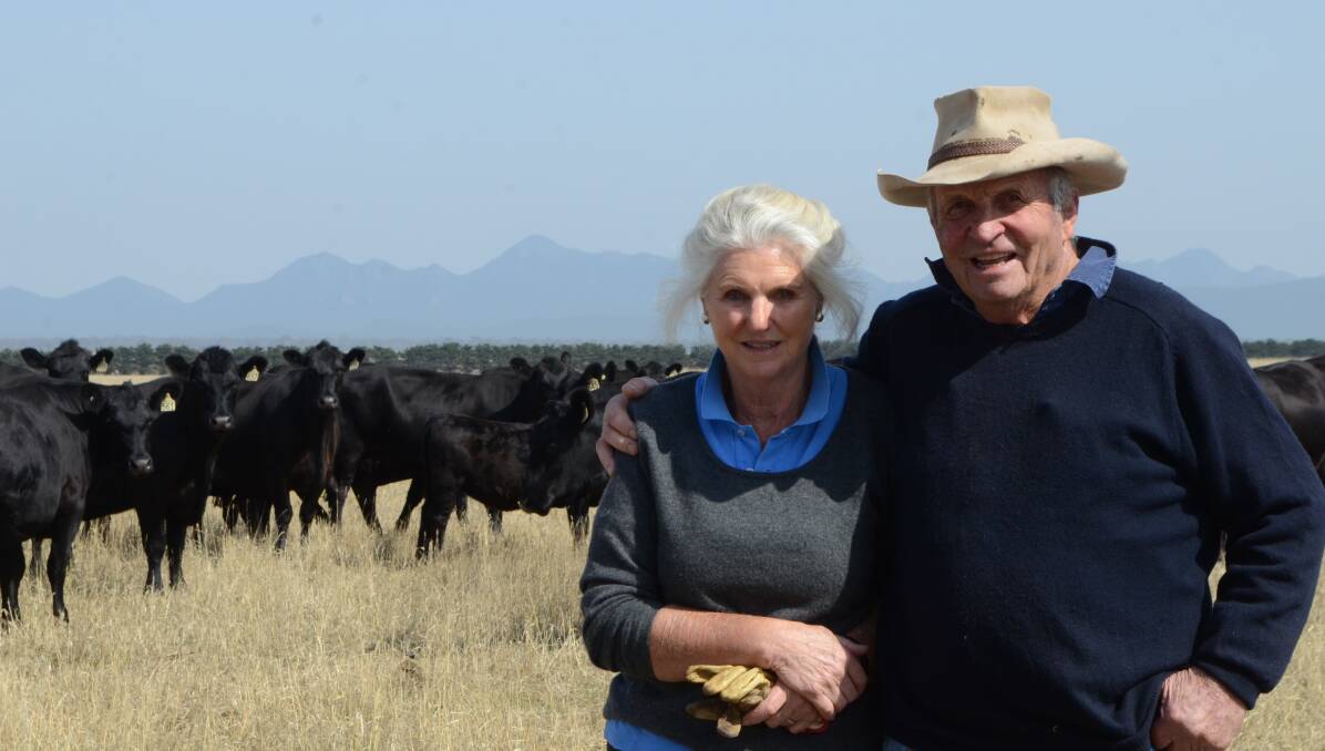 CONSISTENCY IS KEY: Cass and Charles Kimpton, Toora West, Glenthompson, aim to produce quality, high growth steers and heifers which can perform in a range of markets.
