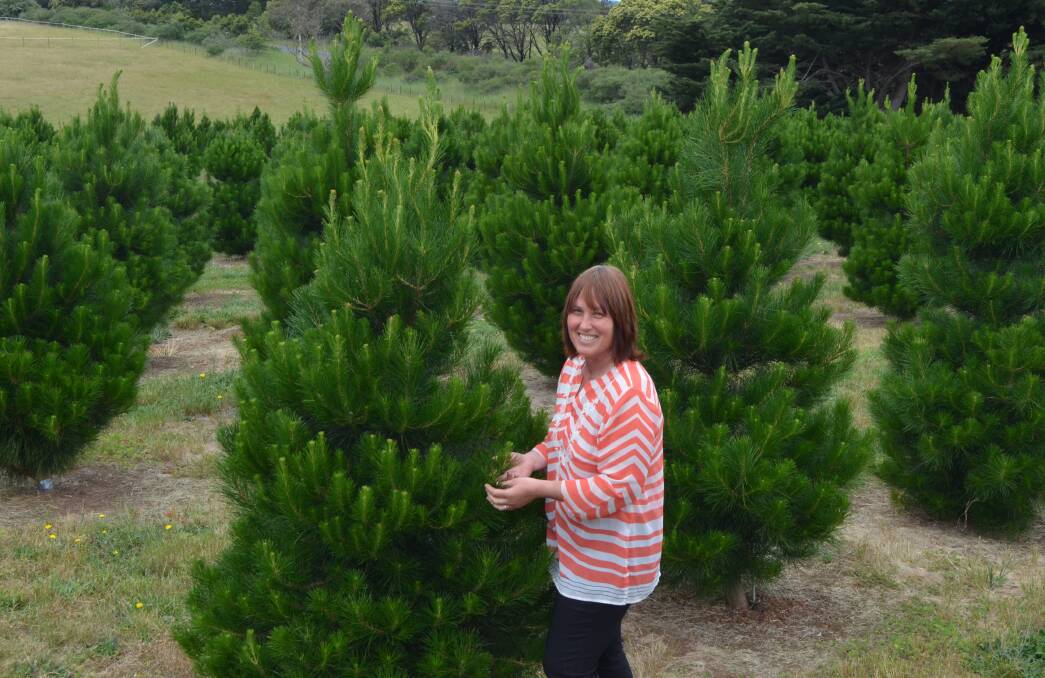 FESTIVE SPIRIT: Kirsty Reiersen from Tarrington Trees, in south-west Victoria, is busy taking orders from the first harvest at her family's Christmas tree farm. 